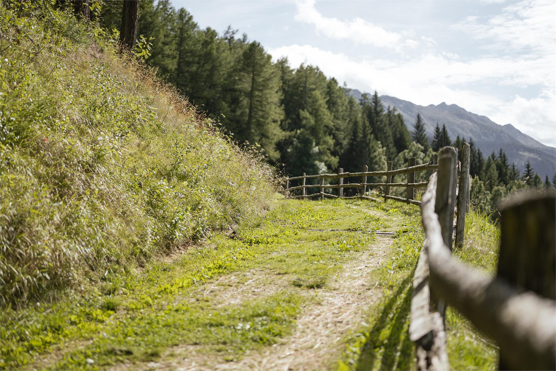 Tour alpino di Kneipp a Rio Lagundo Lagundo 2 suedtirol.info