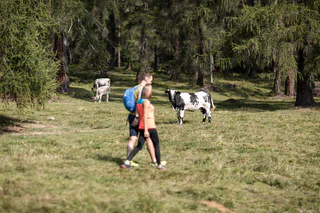 Altrei - Langes Moos - Krabes Alm - Ziss Sattel - Altrei - Altrei - #9 - suedtirol.info
