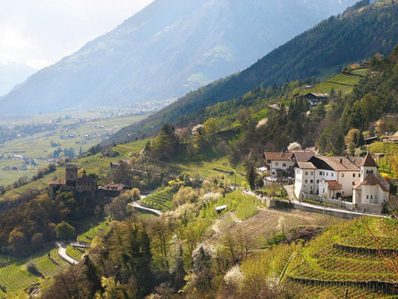 Burgweg trail from Algund/Lagundo to Schloss Tirol castle Algund/Lagundo 3 suedtirol.info