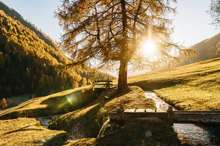 Waalwanderung Ackerwaal - - #1 - suedtirol.info