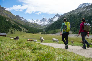 Almerlebnisweg Pfossental - Schnals - #3 - suedtirol.info