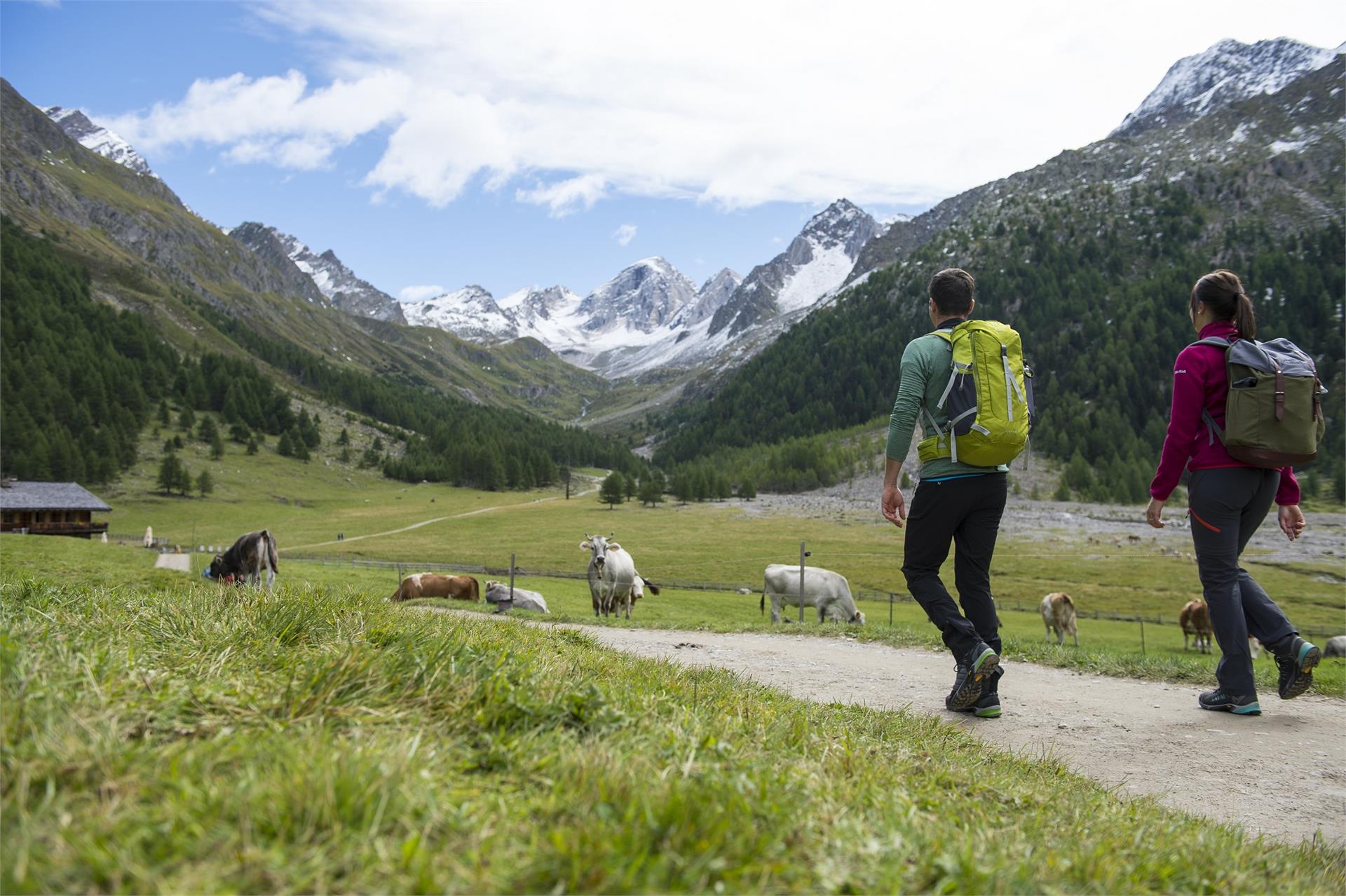 Adventure trail Pfossental Valley Schnals/Senales 3 suedtirol.info