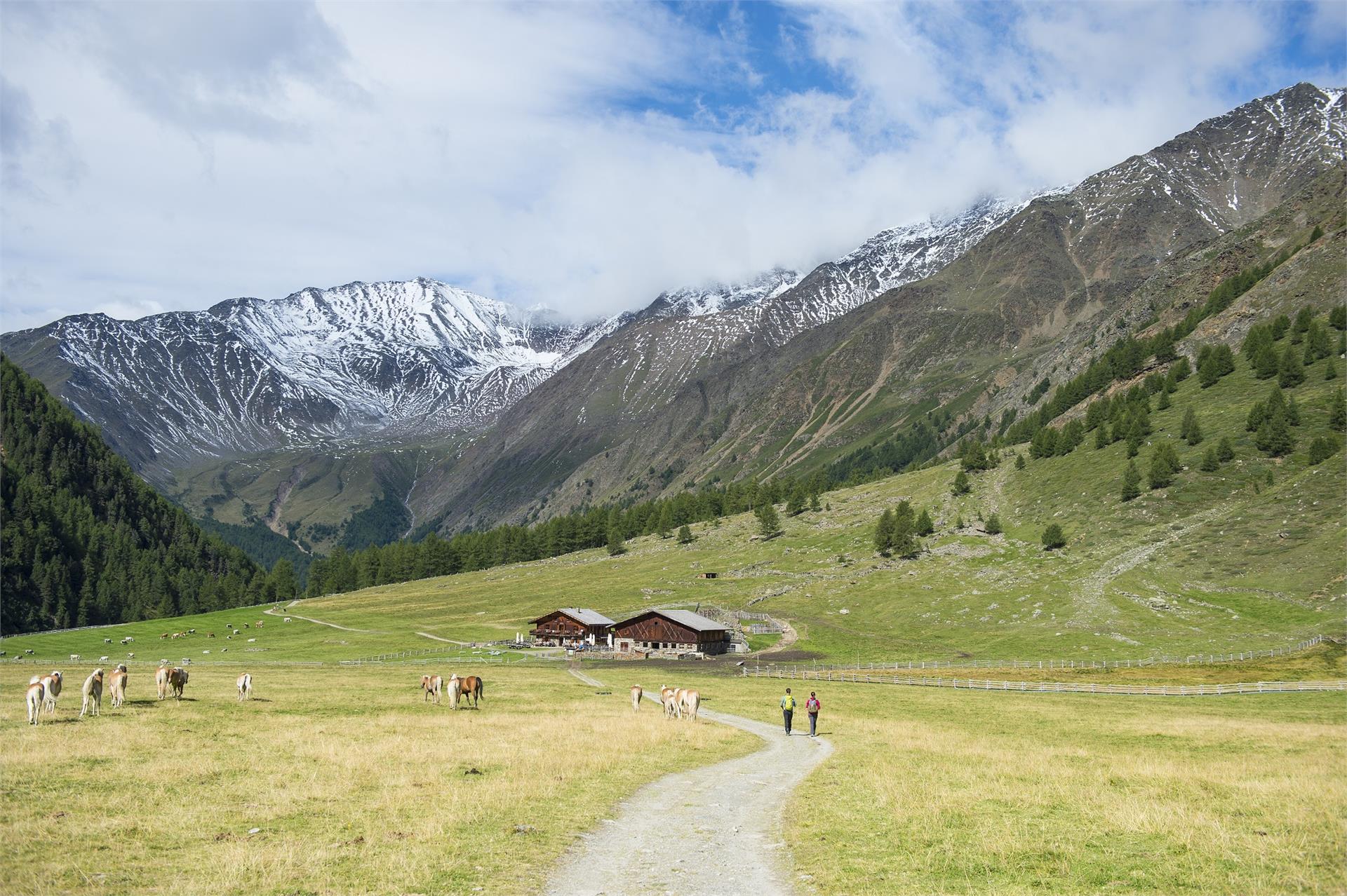 Adventure trail Pfossental Valley Schnals/Senales 4 suedtirol.info