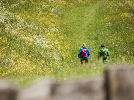 Sentiero Anna - dal Tobl ad Acereto Campo Tures 1 suedtirol.info