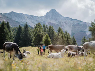 Almenwanderung von Aldein nach Weißenstein - Aldein - #4 - suedtirol.info