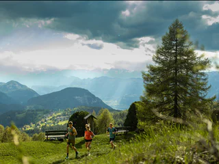 Almenwanderung von Aldein nach Weißenstein - Aldein - #3 - suedtirol.info