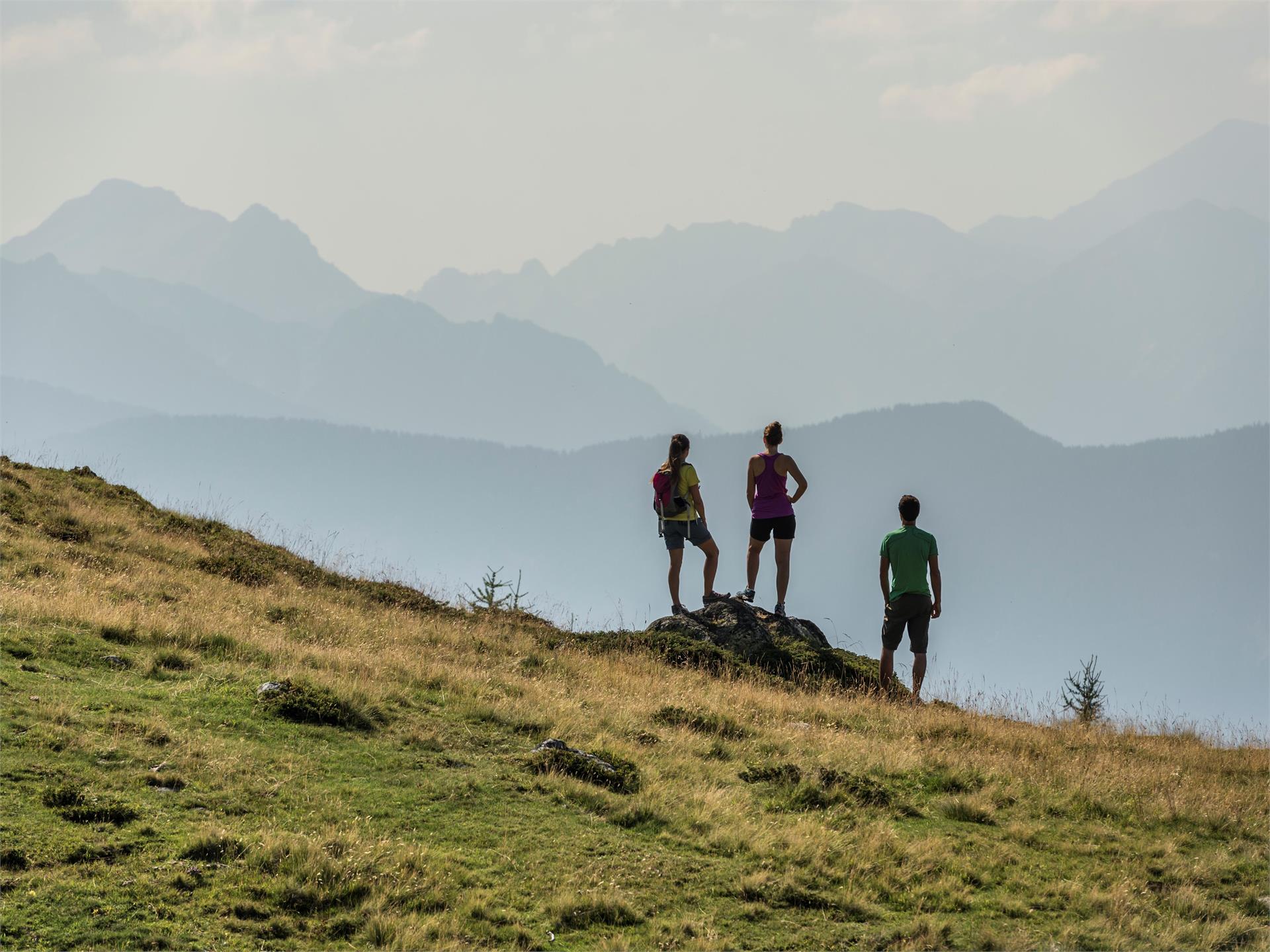 Alpenrosensteig Terenten Terenten 2 suedtirol.info