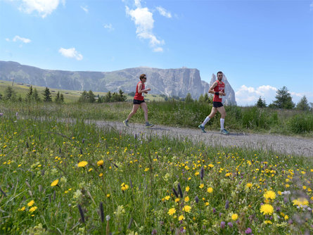 Alpe Run Kastelruth/Castelrotto 2 suedtirol.info