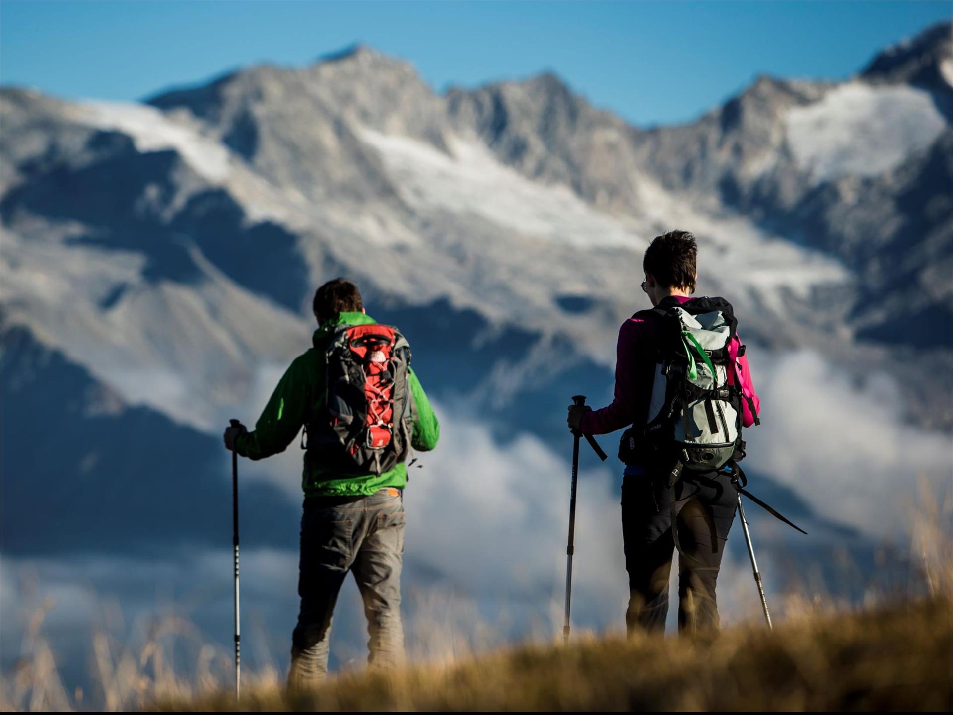 Mountain tour to the Rauchkofel in Prettau/Predoi Prettau/Predoi 1 suedtirol.info