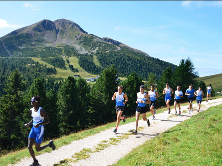 Base line Aldein/Aldino 1 suedtirol.info