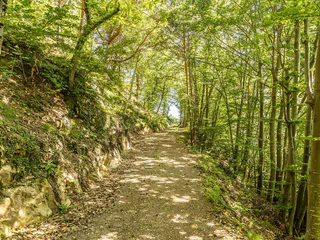 Burgenweg Glaning Greifenstein Glaning