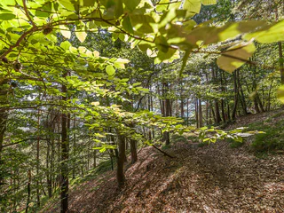 Burgenweg Glaning Greifenstein Glaning