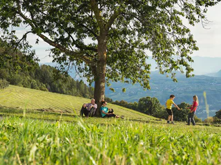 Burgenweg Glaning Greifenstein Glaning