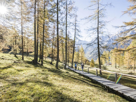 Mountain Tour: Monte Arnese/Hornischegg Sexten/Sesto 1 suedtirol.info