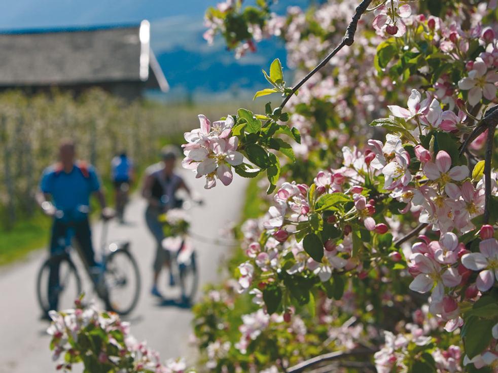 Val d’Adige cycling track Algund - Bozen Algund/Lagundo 1 suedtirol.info