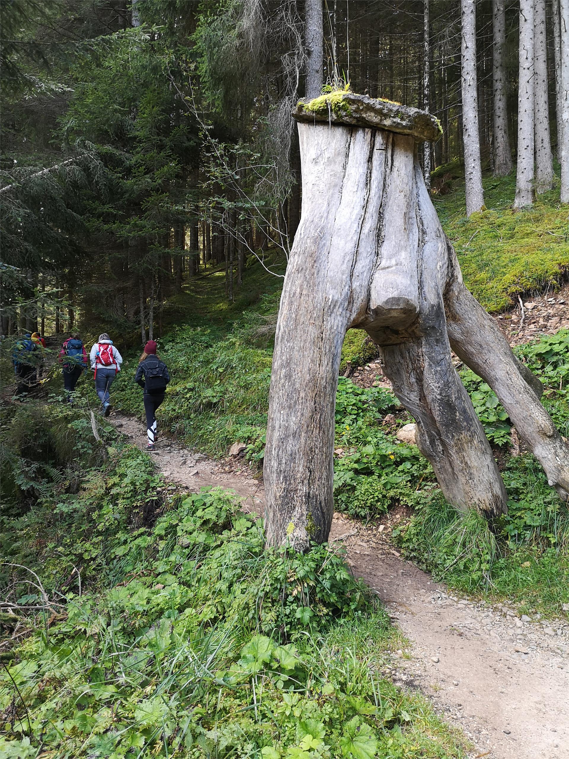 Bad Ratzes-Schlernbödele-Schlernhaus Kastelruth/Castelrotto 3 suedtirol.info