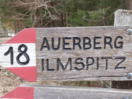 Alpine Tour to the Ilmenspitze Ulten/Ultimo 1 suedtirol.info