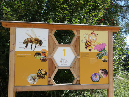 Bee World at the Rainguthof Animal Park Tisens/Tesimo 6 suedtirol.info