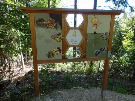 Bee World at the Rainguthof Animal Park Tisens/Tesimo 8 suedtirol.info