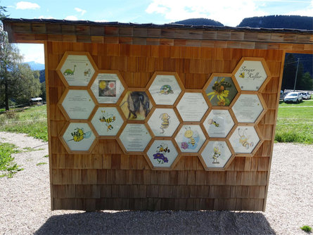 Bee World at the Rainguthof Animal Park Tisens/Tesimo 5 suedtirol.info