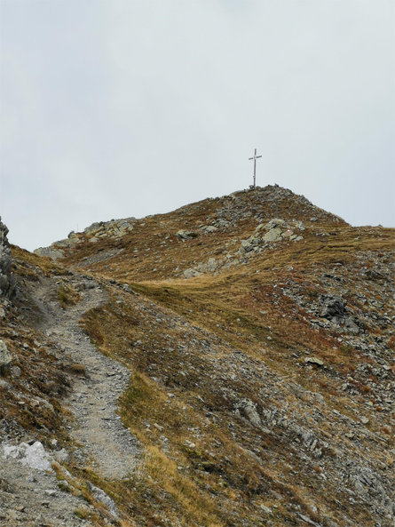 Hiking tour to the peak "Plattner Spitz" Pfalzen/Falzes 1 suedtirol.info