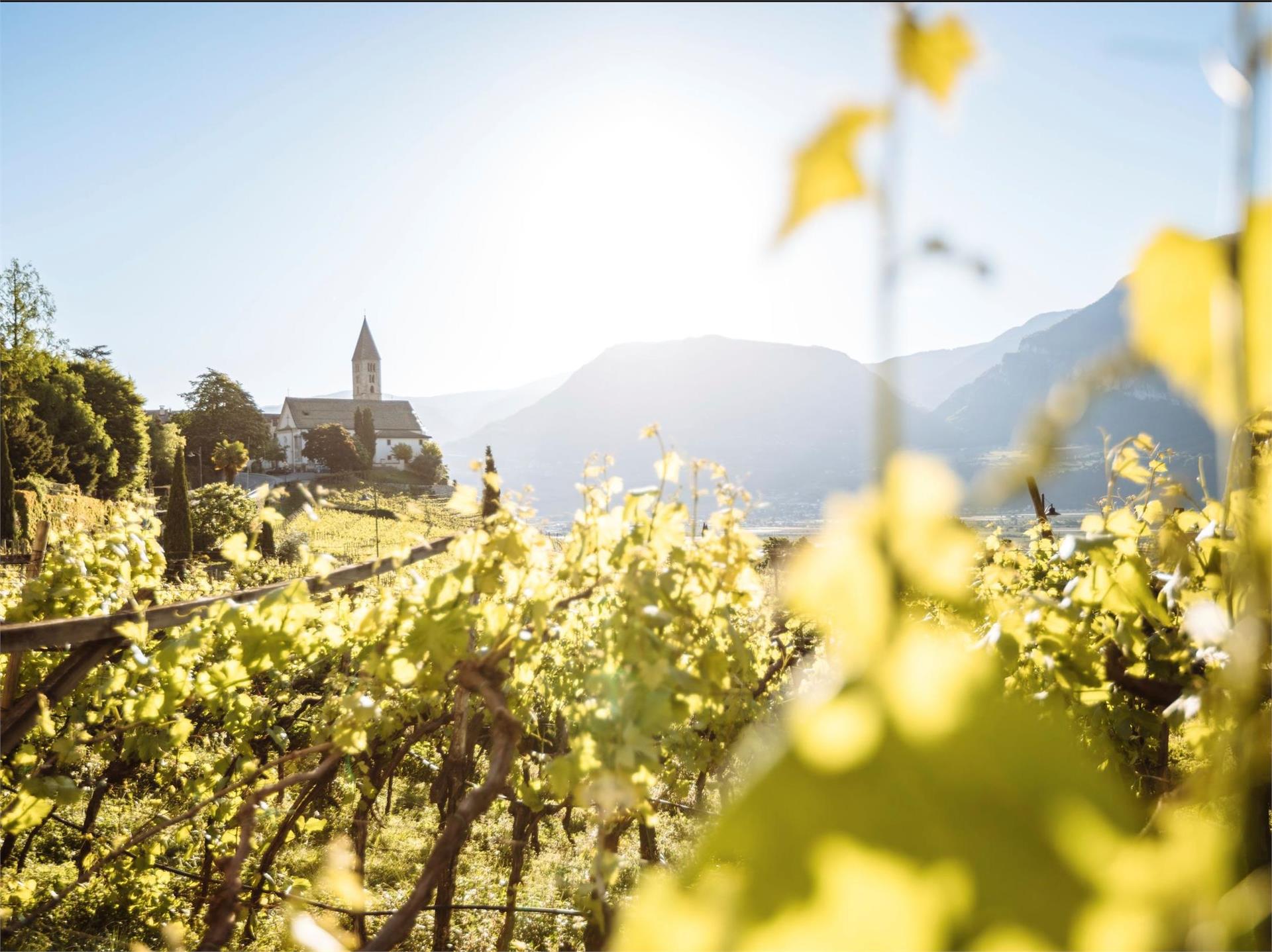 Via Brenntal - Cortaccia Termeno sulla Strada del Vino 1 suedtirol.info