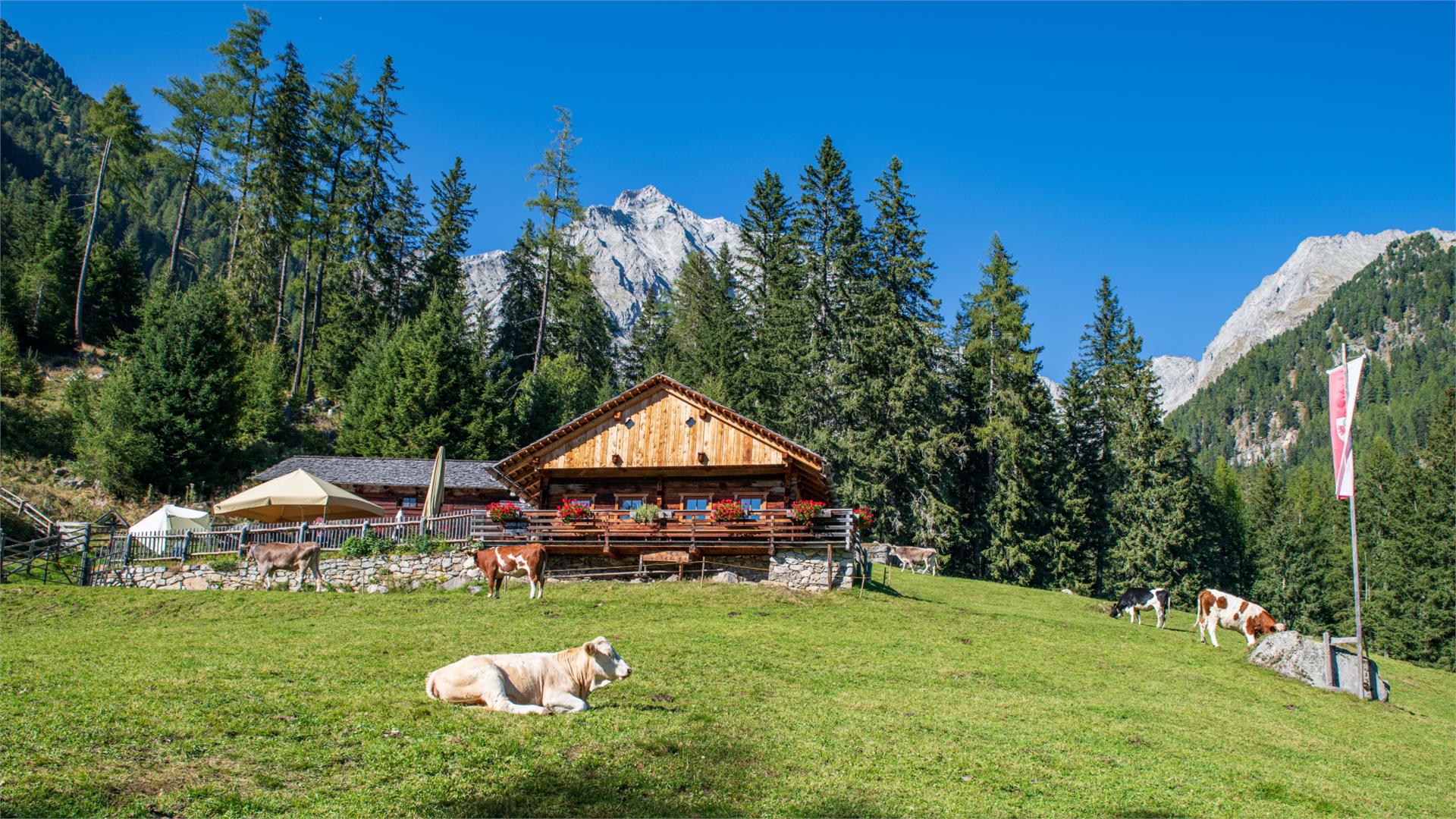 Bergeralm Rasen-Antholz/Rasun Anterselva 1 suedtirol.info