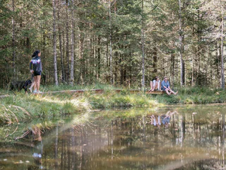 Naturerlebnis-Rundwanderung durch das Biotop Rasner Möser - Rasen-Antholz - #3 - suedtirol.info