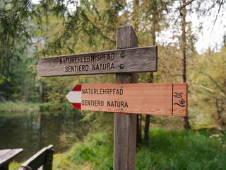 Naturerlebnis-Rundwanderung durch das Biotop Rasner Möser - Rasen-Antholz - #1 - suedtirol.info