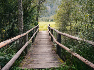 Naturerlebnis-Rundwanderung durch das Biotop Rasner Möser - Rasen-Antholz - #9 - suedtirol.info
