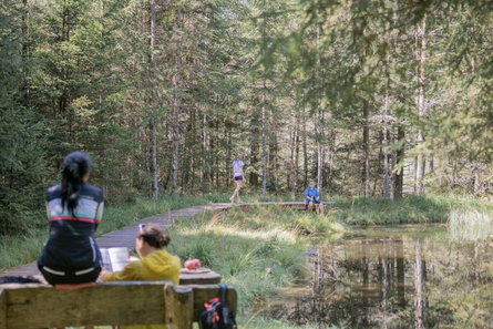 Escursione Biotopo Rasner Möser Rasun Anterselva 1 suedtirol.info