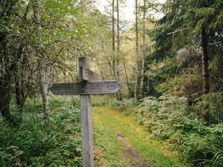 Naturerlebnis-Rundwanderung durch das Biotop Rasner Möser - Rasen-Antholz - #8 - suedtirol.info