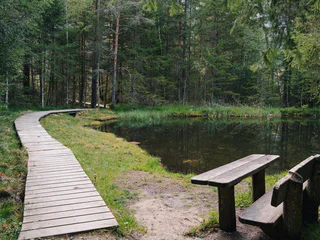 Naturerlebnis-Rundwanderung durch das Biotop Rasner Möser - Rasen-Antholz - #4 - suedtirol.info