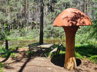 Der Pilzeweg im Laranzer Wald - Kastelruth - #5 - suedtirol.info