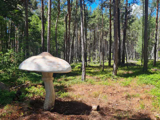 Der Pilzeweg im Laranzer Wald - Kastelruth - #4 - suedtirol.info
