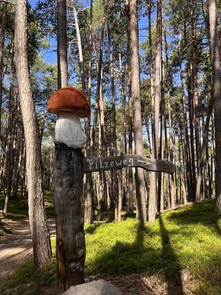 Der Pilzeweg im Laranzer Wald - Kastelruth - #1 - suedtirol.info
