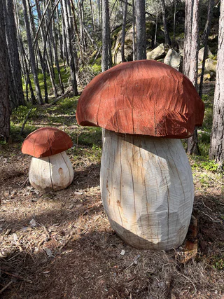 Der Pilzeweg im Laranzer Wald - Kastelruth - #6 - suedtirol.info