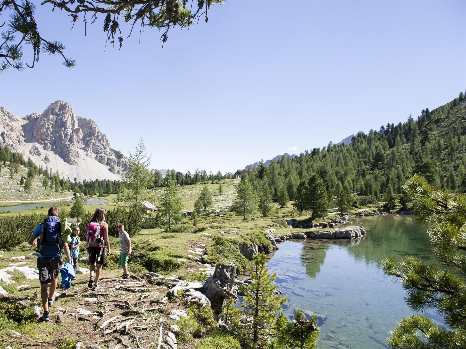 Alpine Path of the Dolomites no. 1 - stage 2 & 3 Al Plan/San Vigilio 1 suedtirol.info