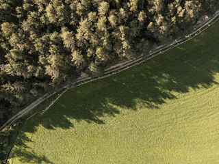 Durch Wiesen und Felder in Natz - Natz-Schabs - #1 - suedtirol.info