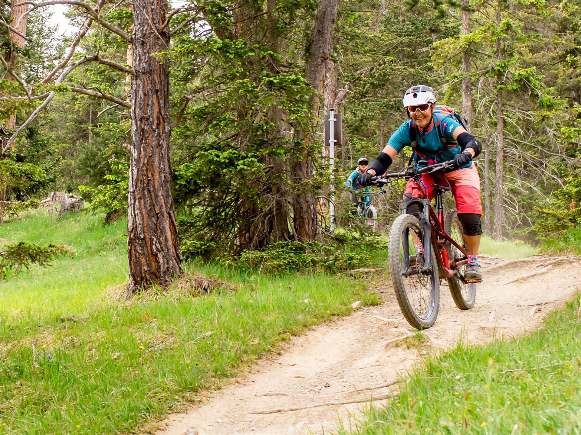 Drei Almen Tour Graun im Vinschgau/Curon Venosta 1 suedtirol.info