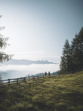 Dreizinnenblick und Kuhglockenidylle - - #1 - suedtirol.info