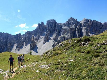 Alpine Path of the Dolomites no. 2 - stage 2 & 3 Al Plan/San Vigilio 2 suedtirol.info