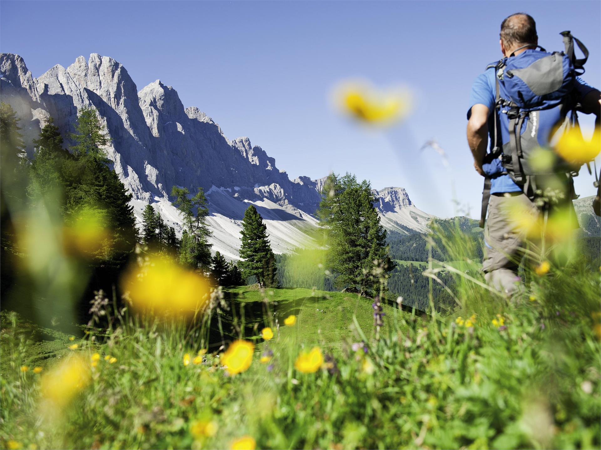 Dolomiten Höhenweg Nr. 8 Brixen 2 suedtirol.info