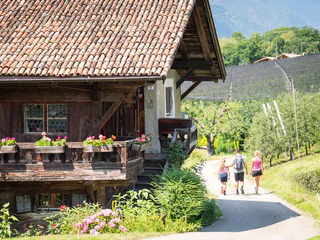 Der Apfelweg