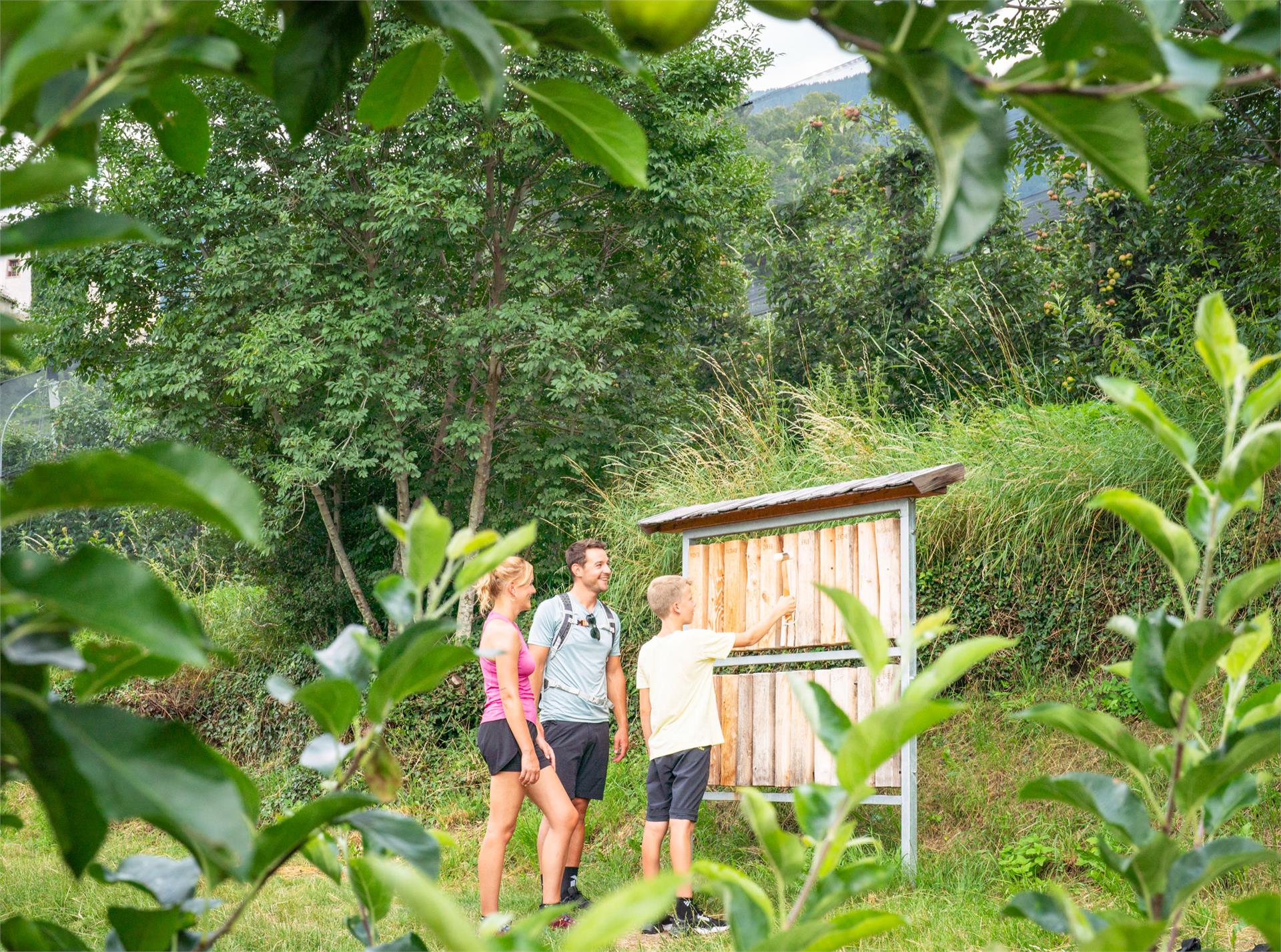 The apple trail Schenna/Scena 3 suedtirol.info