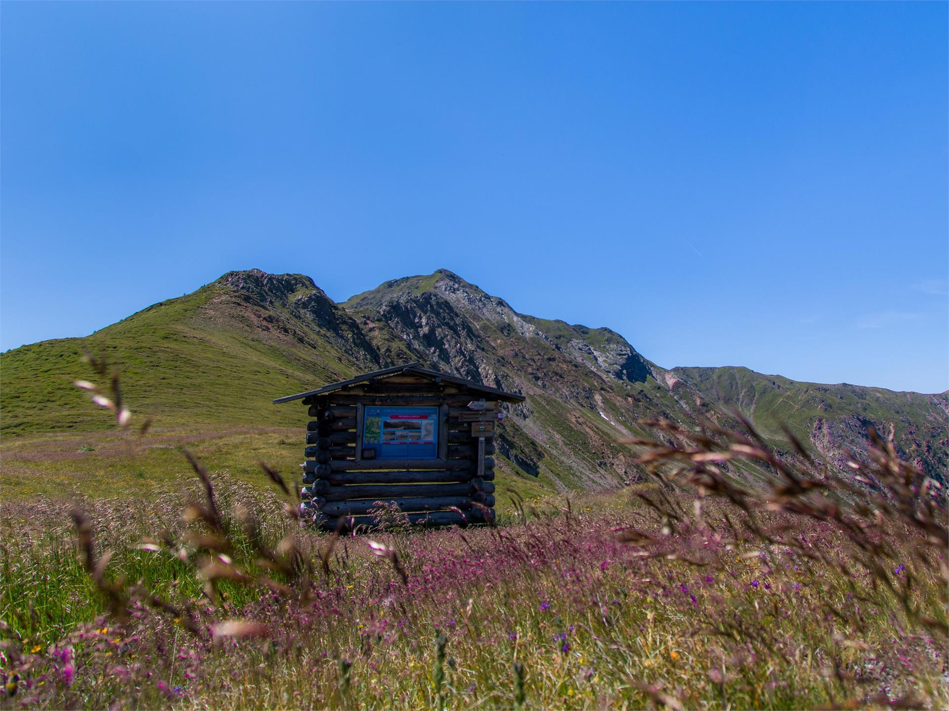 Le vie oltre le forcelle Valle di Casies 1 suedtirol.info