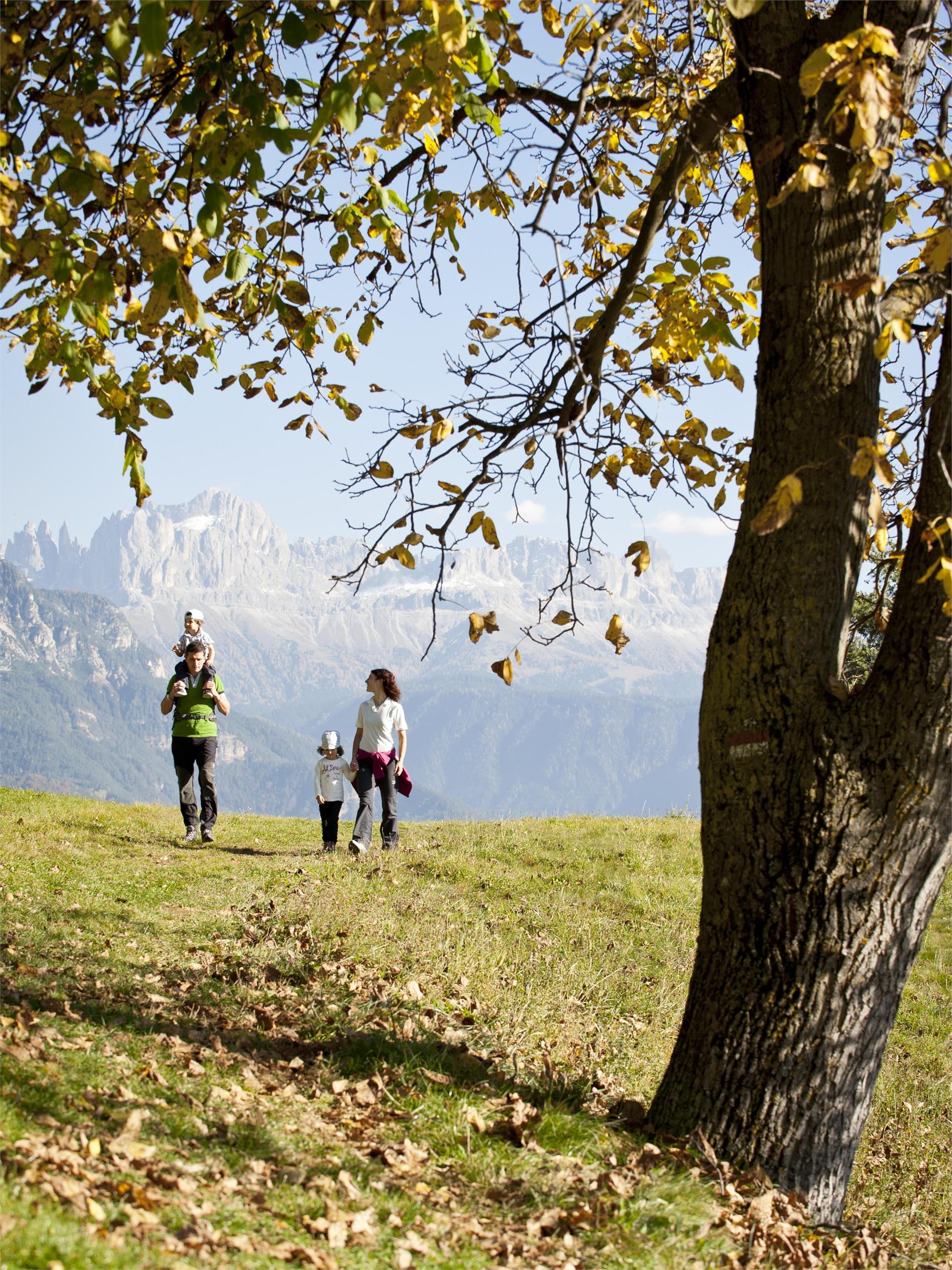 The Keschtnweg Chestnut Trail form Brixen to Klausen Brixen/Bressanone 1 suedtirol.info