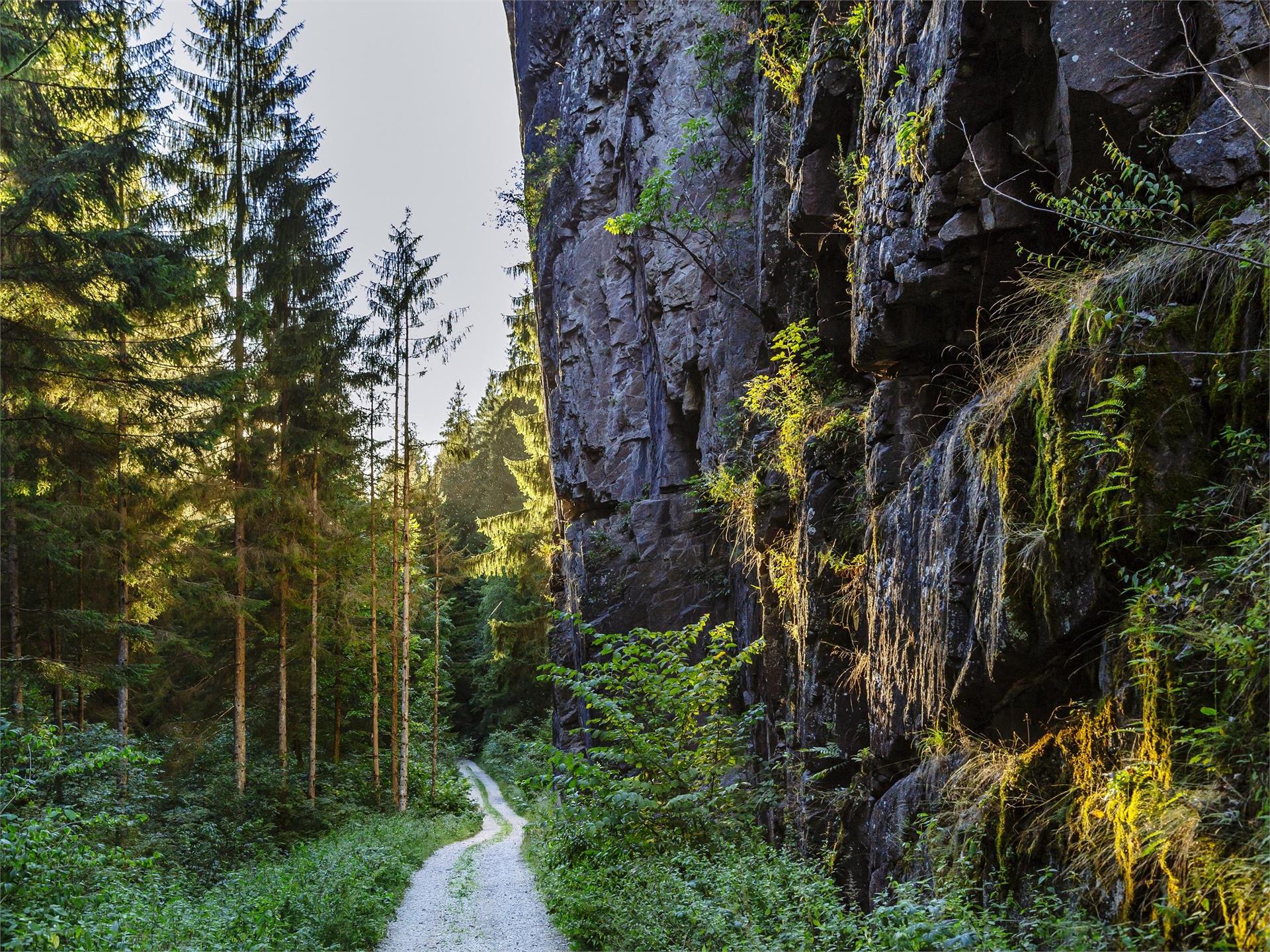 Durch das Brantental nach Deutschnofen Deutschnofen 1 suedtirol.info