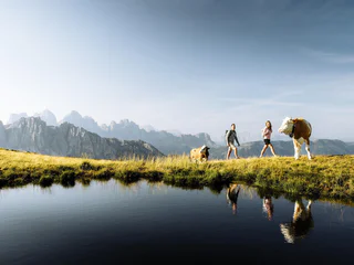 Dolomiten-Panoramaweg auf der Plose - Brixen - #1 - suedtirol.info