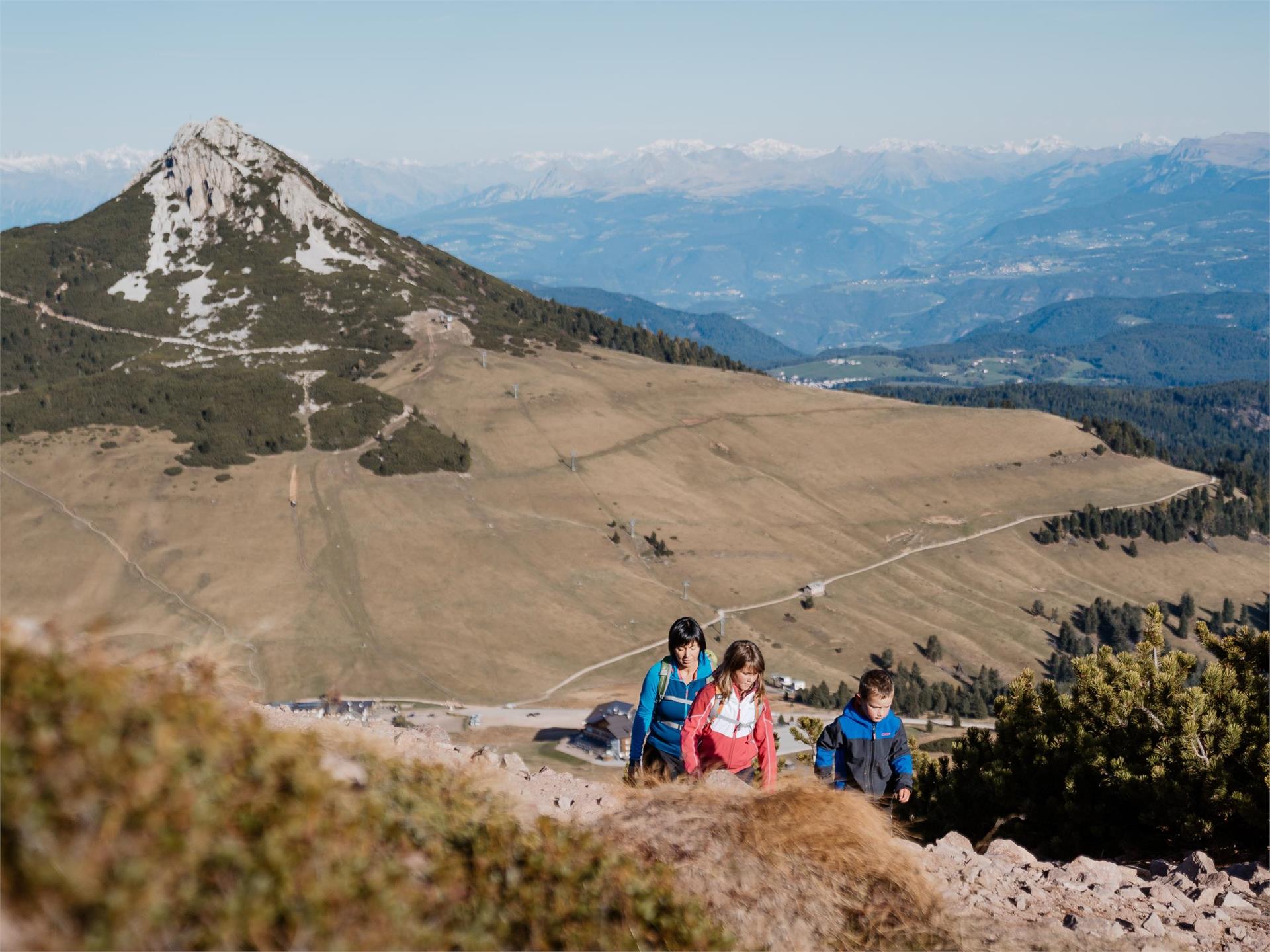 Trail f2 | Jochgrimm - Schwarzhorn - Radein Aldein/Aldino 1 suedtirol.info